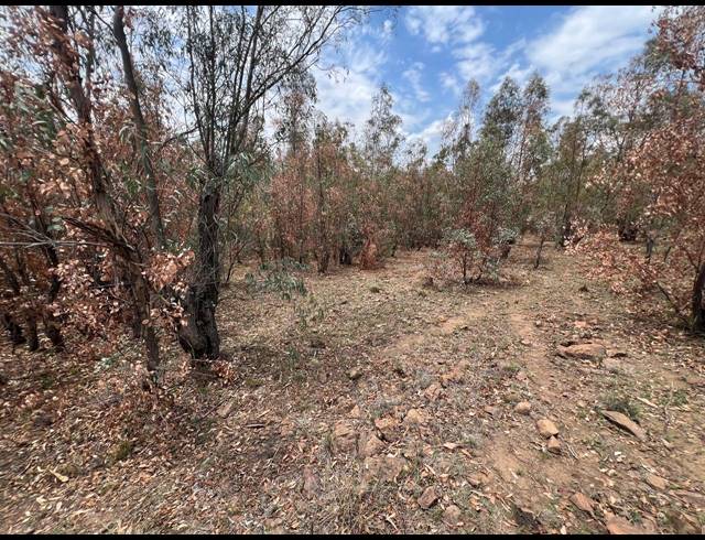 44,446M² VACANT LAND FOR SALE IN METSIMAHOLO